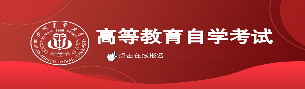 幻灯片一